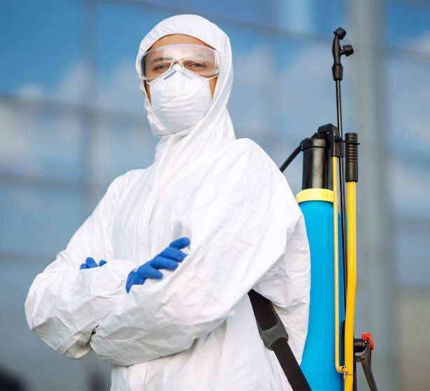 Désinsectisation des punaises de lit de Metz